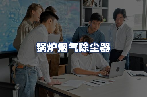 锅炉烟气除尘器